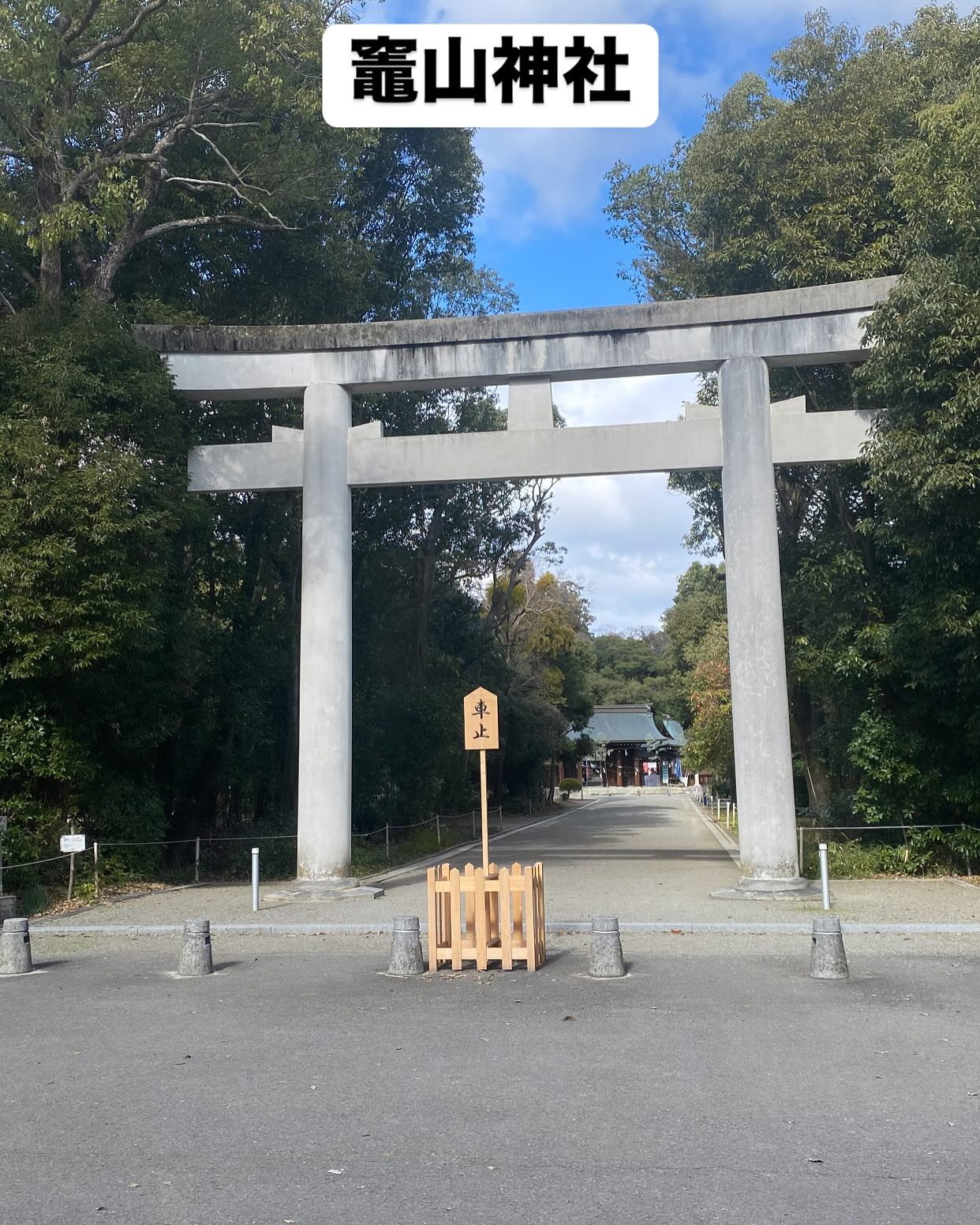 『初詣⛩️』