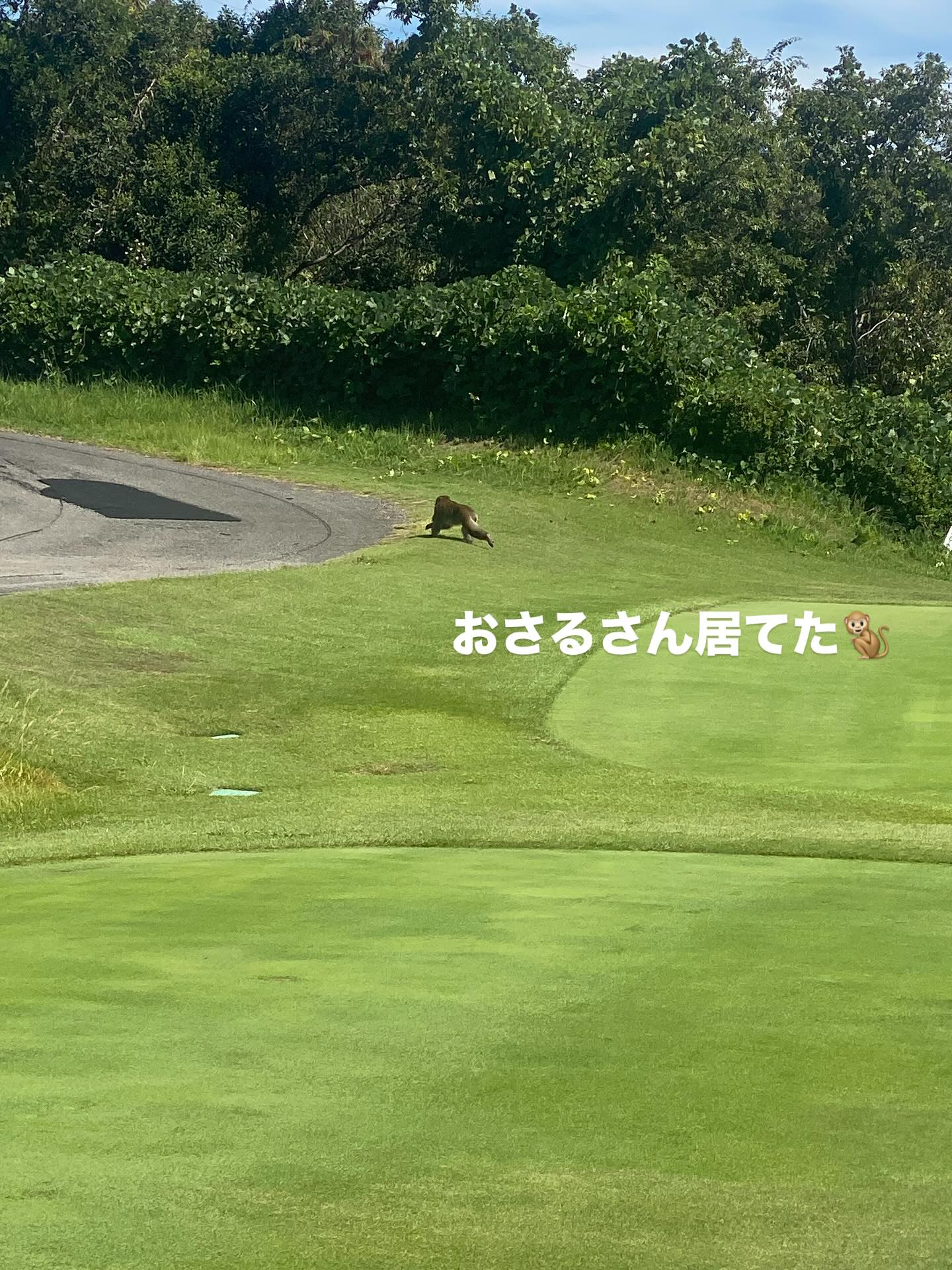 『休日の楽しみ方⛳️』