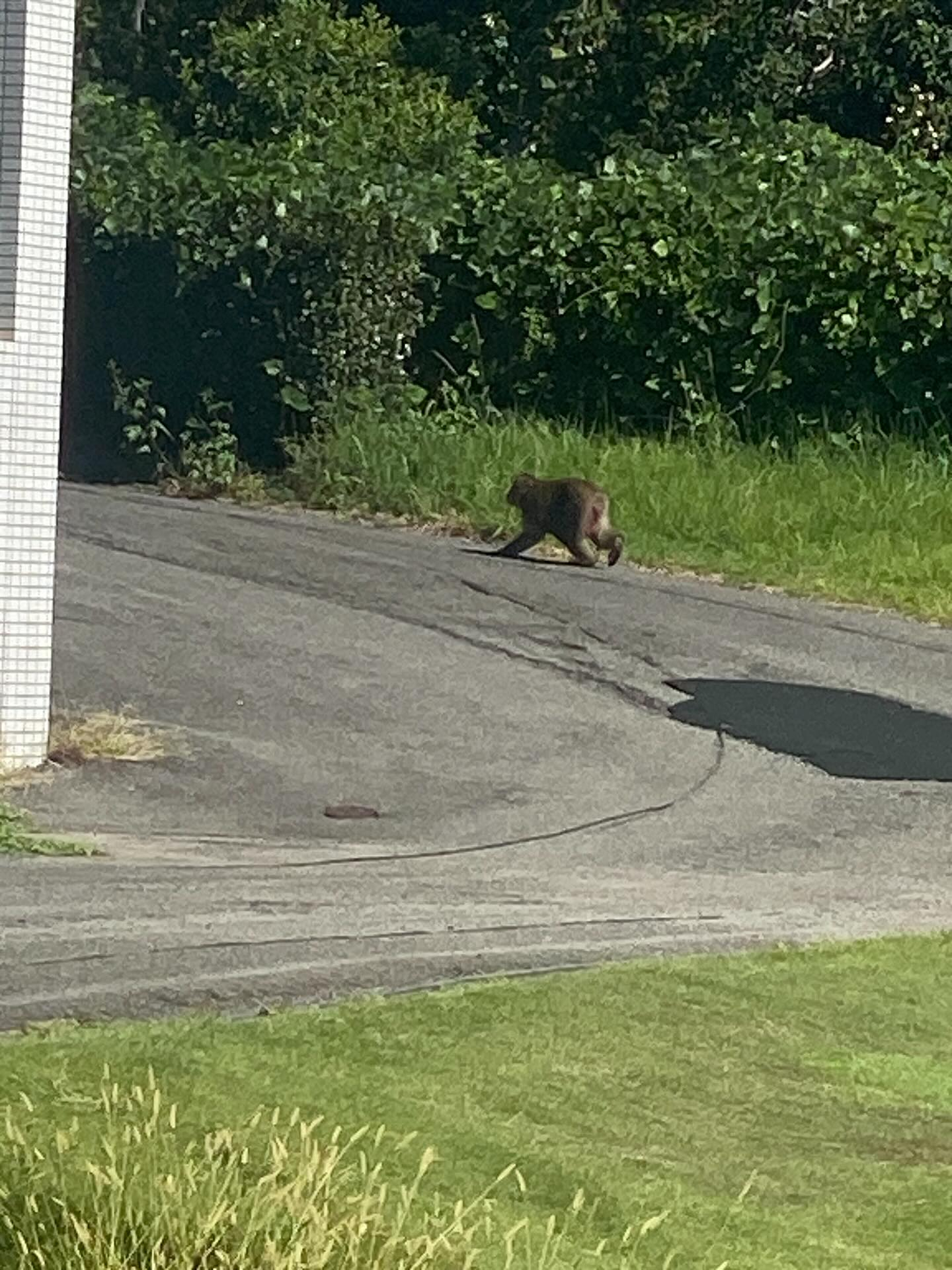 『休日の楽しみ方⛳️』