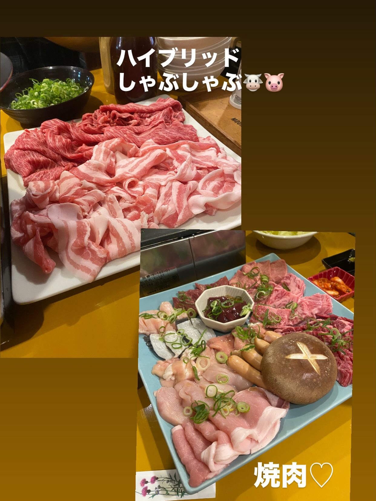 『✨新年度会✨』