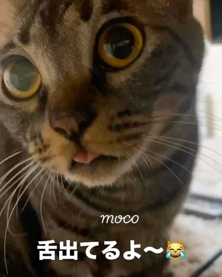 『おうち時間⏰』